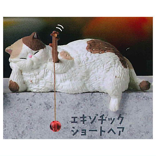 Tsuribiyori Part.5 Poccharinekotachino himatsubushi [4.Exotic Shorthair]