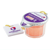 Hawaiian Airlines Miniature Collection [3.POG juice]