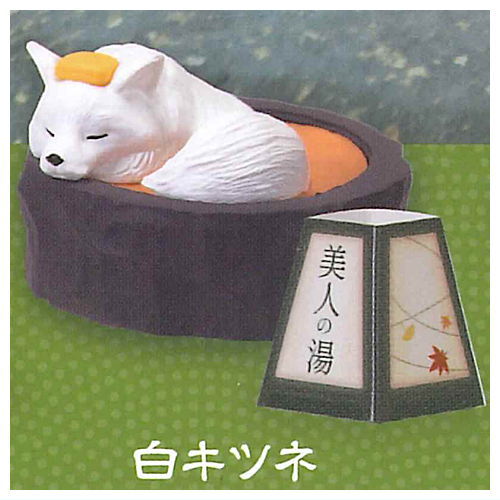 Tadaimanyuyokuchu Yukemuri Togenkyo [3.White Fox]