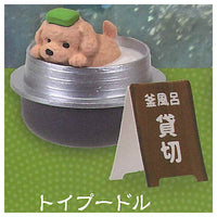 Tadaimanyuyokuchu Yukemuri Togenkyo [4.Toy Poodle]