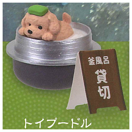 Tadaimanyuyokuchu Yukemuri Togenkyo [4.Toy Poodle]