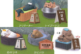 Tadaimanyuyokuchu Yukemuri Togenkyo [All 5 type set(Full Complete)]