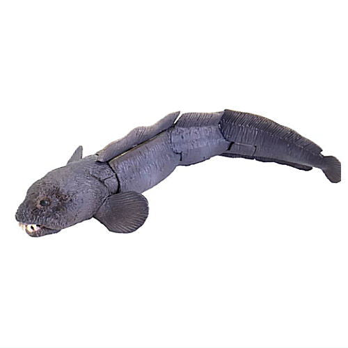 Monster Fish Japanese Sea Monsters [1.Bering wolffish A]