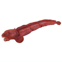 Monster Fish Japanese Sea Monsters [2.Bering wolffish B]