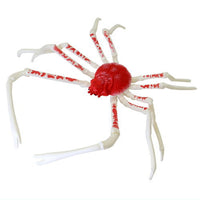 Monster Fish Japanese Sea Monsters [3.Japanese spider crab A]