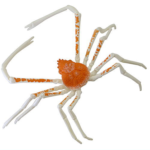 Monster Fish Japanese Sea Monsters [4.Japanese spider crab B]