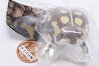 Nature Techni colour FLOCKY tsuchimamireno Common rain frog [4.Common rain frog (brown)]