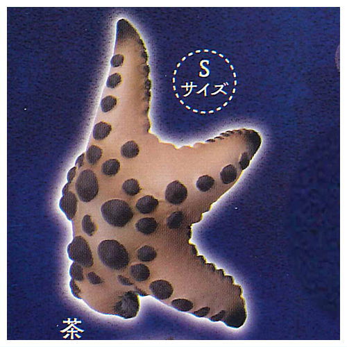 Kikiki Karami Starfish [1.Brown (S size)]