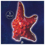 Kikiki Karami Starfish [2.Red (S size)]