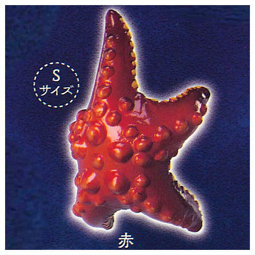 Kikiki Karami Starfish [2.Red (S size)]