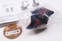 Kikiki Karami Starfish [3.Navy red (M size)]