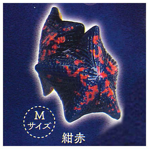 Kikiki Karami Starfish [3.Navy red (M size)]
