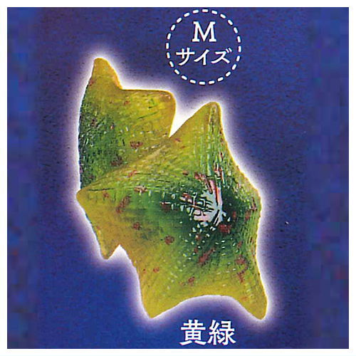 Kikiki Karami Starfish [4.Yellow green (M size)]