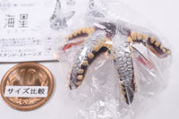 Kikiki Karami Starfish [5.White red (L size)]