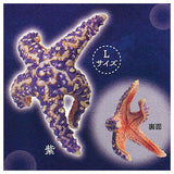 Kikiki Karami Starfish [6.Purple (L size)]
