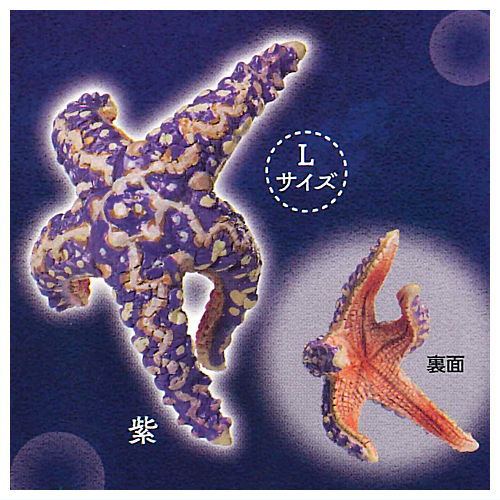 Kikiki Karami Starfish [6.Purple (L size)]