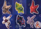 Kikiki Karami Starfish [All 6 type set (Full Complete)]