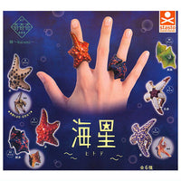 Kikiki Karami Starfish [All 6 type set (Full Complete)]