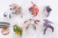 Kikiki Karami Starfish [All 6 type set (Full Complete)]