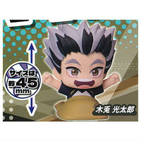 Onemutan Haikyu!! vol.2 [3.Kotaro Bokuto]