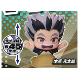 Onemutan Haikyu!! vol.2 [3.Kotaro Bokuto]