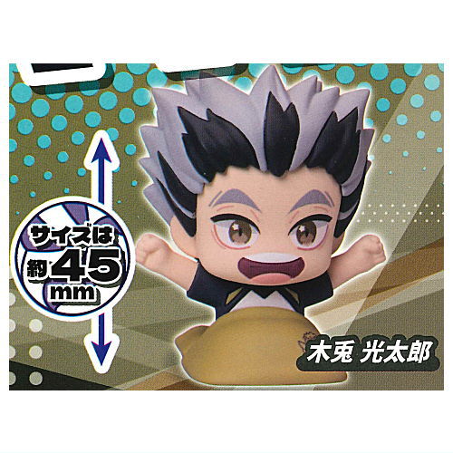 Onemutan Haikyu!! vol.2 [3.Kotaro Bokuto]
