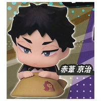 Onemutan Haikyu!! vol.2 [4.Keiji Akaashi]