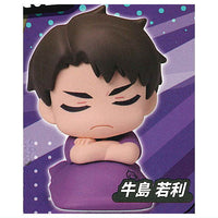 Onemutan Haikyu!! vol.2 [5.Wakatoshi Ushijima]