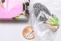 Nature Techni colour MONO PLUS Mushroom and tree frog figure mascot and ball chain Part.2 [4.Amigasatake and tree frog (mascot)]