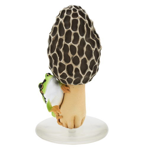 Nature Techni colour MONO PLUS Mushroom and tree frog figure mascot and ball chain Part.2 [4.Amigasatake and tree frog (mascot)]