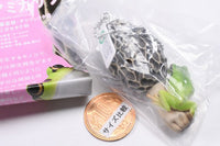 Nature Techni colour MONO PLUS Mushroom and tree frog figure mascot and ball chain Part.2 [8.Amigasatake and tree frog (ball chain)]