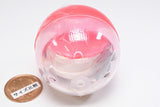 Nyanko cake shop Part.3 [7.Cookie tin set]