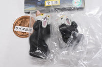 Animal Scream [Assorted 2 type set (3.Cat/4.Hamster)]