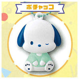 Sanrio Characters PETANCO Mascot Team Fancy [4.Pochacco]