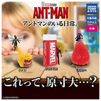 Everyday Life with Ant-Man. [All 3 type set(Full Complete)]