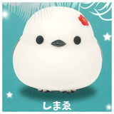 Fuku Fuku Shimaenaga powatto light nakayoshisan [2.Shimae]