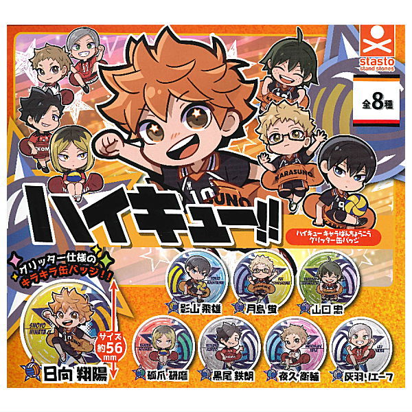 Haikyu!! Charabanchoukou Glitter Can Badge [All 8 type set(Full Complete)]