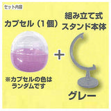 Capsule ga sonomama display ni naru [1.Grey]