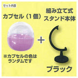 Capsule ga sonomama display ni naru [2.Black]