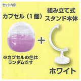 Capsule ga sonomama display ni naru [3.White]