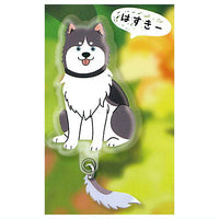 Shippofurifuri Wan Nyan smartphone charm [6.Husky]