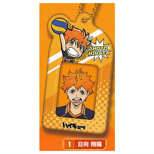 Haikyu!! Mini Photo Holder [1.Shoyo Hinata]