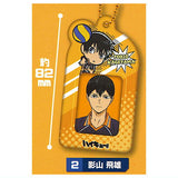 Haikyu!! Mini Photo Holder [2.Tobio Kageyama]