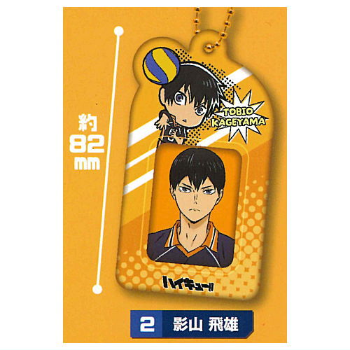 Haikyu!! Mini Photo Holder [2.Tobio Kageyama]