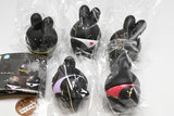 Usa-pantsu gothic [All 5 type set(Full Complete)]