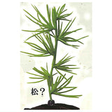 Kusa haetete kusa torikoshite kotobukin hair clip [1.Pine?]