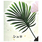 Kusa haetete kusa torikoshite kotobukin hair clip [4.Palm]