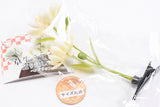 Kusa haetete kusa torikoshite kotobukin hair clip [5.Chrysanthemum (white)]