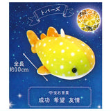 Happy whale shark plush toy jewel color vol.3 [2.Topaz]