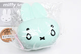 Miffy Silicone FACE Accessory Case [3.Crybaby Miffy]